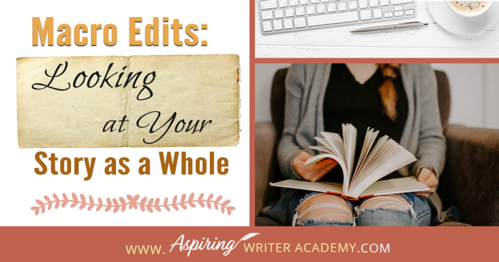 Macro editing looks at the whole story from beginning to end to see if the story makes sense, the characters are consistent with their personality, the plot structure is set up properly and functions to push the story forward. #Writing #writingfiction #WritingTips #Writer #Writers #WritersLife #WritingAdvice #writingtip #writingtips #GetPublished