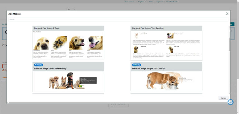 Amazon A+ Content for Authors: What It Is and How to Get Started ...