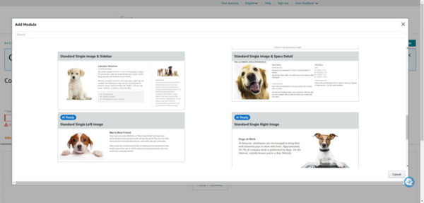Amazon A+ Content for Authors: What It Is and How to Get Started ...