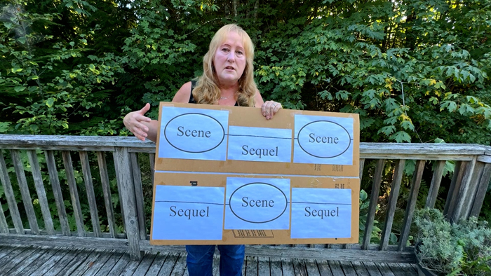 Learn how to write unforgettable scenes that flow naturally and keep readers hooked! This blog post breaks down the Scene & Sequel technique — including how to set goals, build conflict, end with a disaster, and follow with reflection. If you’re writing a novel or short story, this guide will help you create scenes that grab attention and never let go.