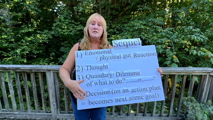 Every great story keeps readers turning pages — and it starts with strong scene structure! In this post, author Darlene Panzera explains the Scene & Sequel method to help you create momentum, conflict, and emotion in every chapter. Perfect for fiction writers who want to improve pacing and story flow with clear, practical steps.