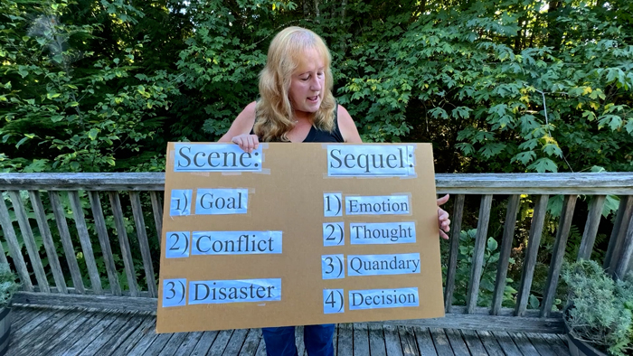 Master the art of scene writing with the Scene & Sequel structure! Learn how to give your characters clear goals, raise the stakes with conflict, and end each scene with a twist that keeps readers hooked. This post breaks down the full process — from goal to disaster to reaction — to help fiction writers craft stories that flow effortlessly and keep readers engaged.